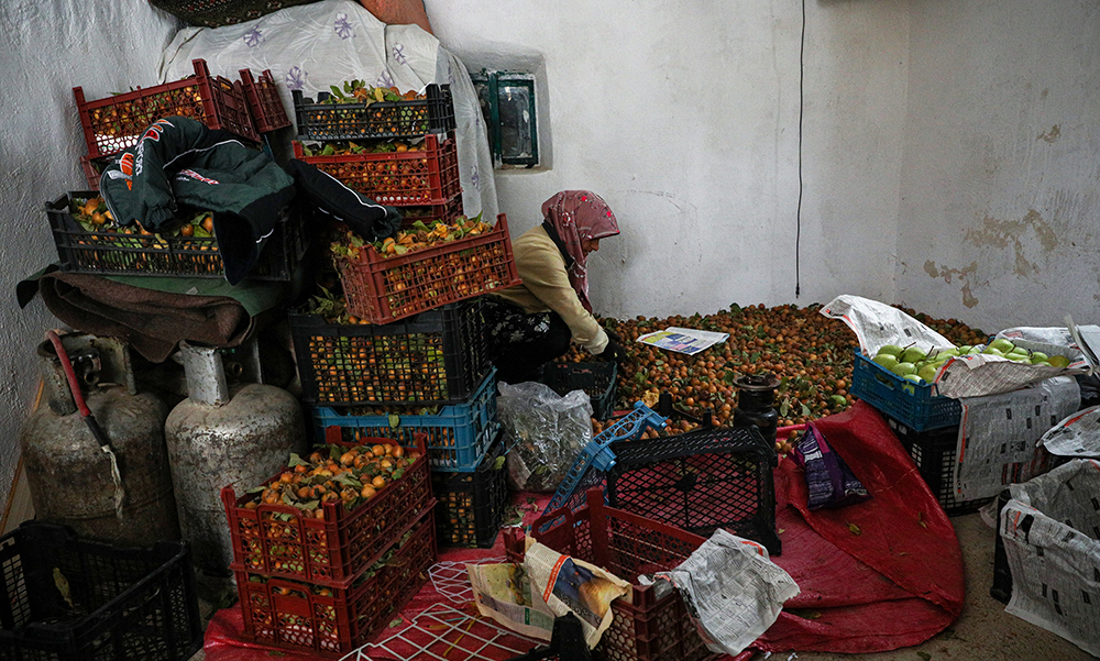 (تصاویر)