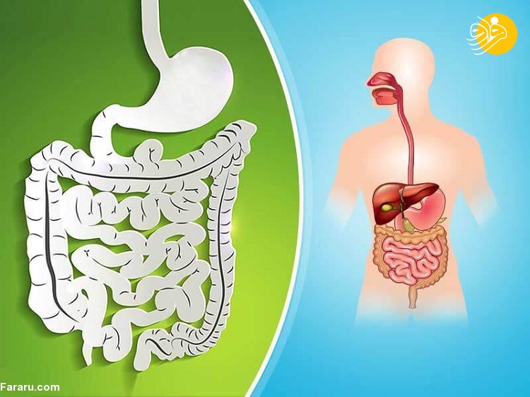 آیا برنج سفید برای سلامتی مفید است یا مضر؟ آیا برنج سفید برای سلامتی مفید است یا مضر؟