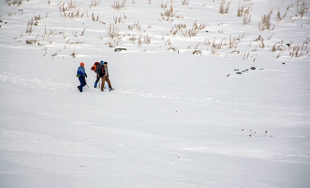 (تصاویر)