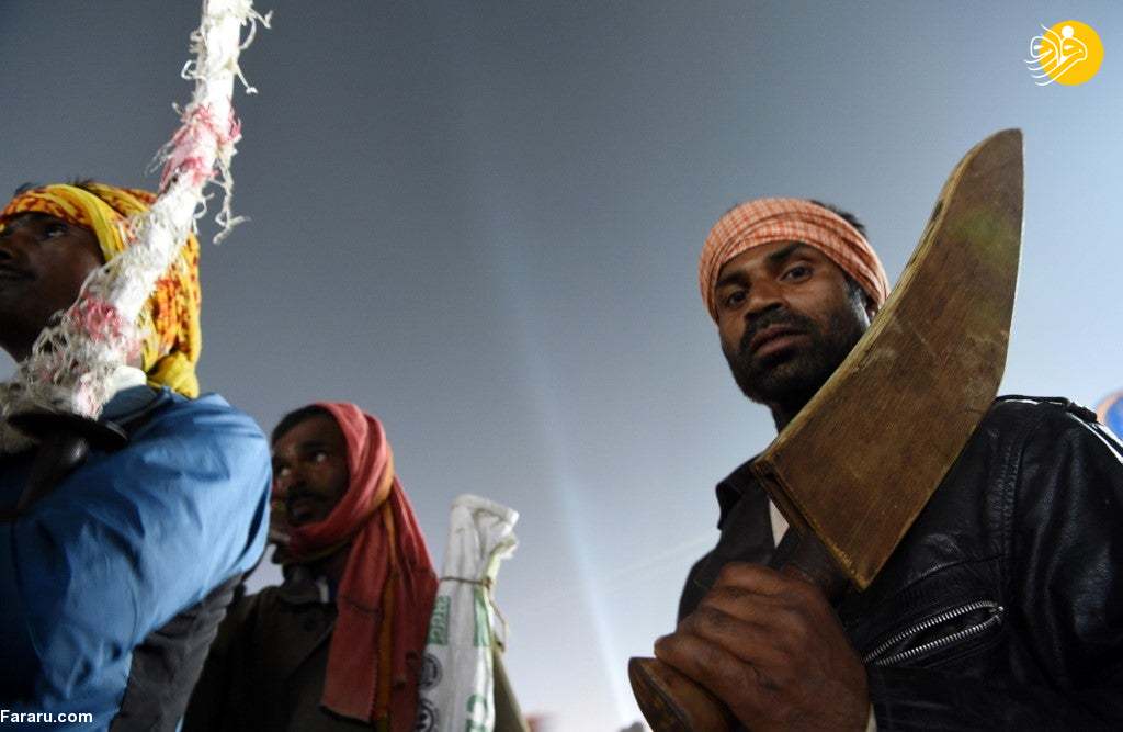 (تصاویر)