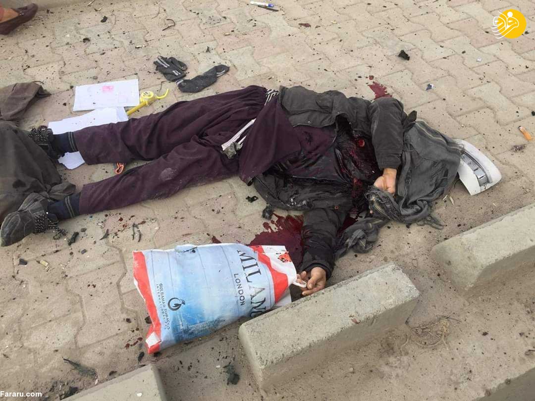 (تصاویر)