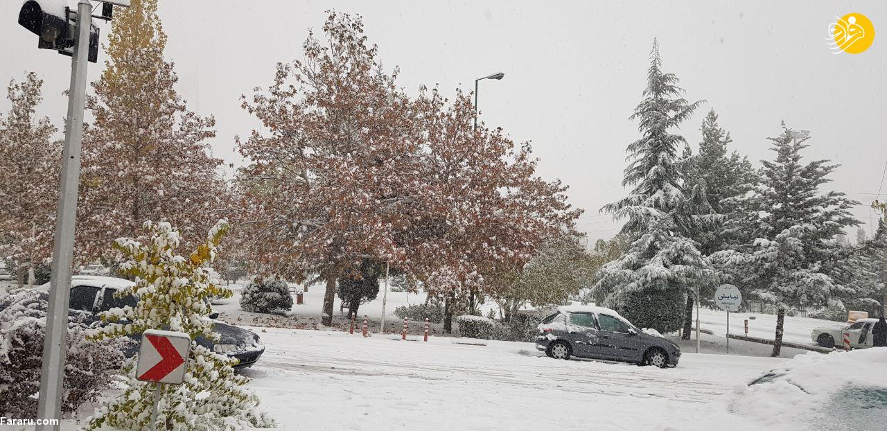 آخرین اخبار از بارش سنگین برف در تهران