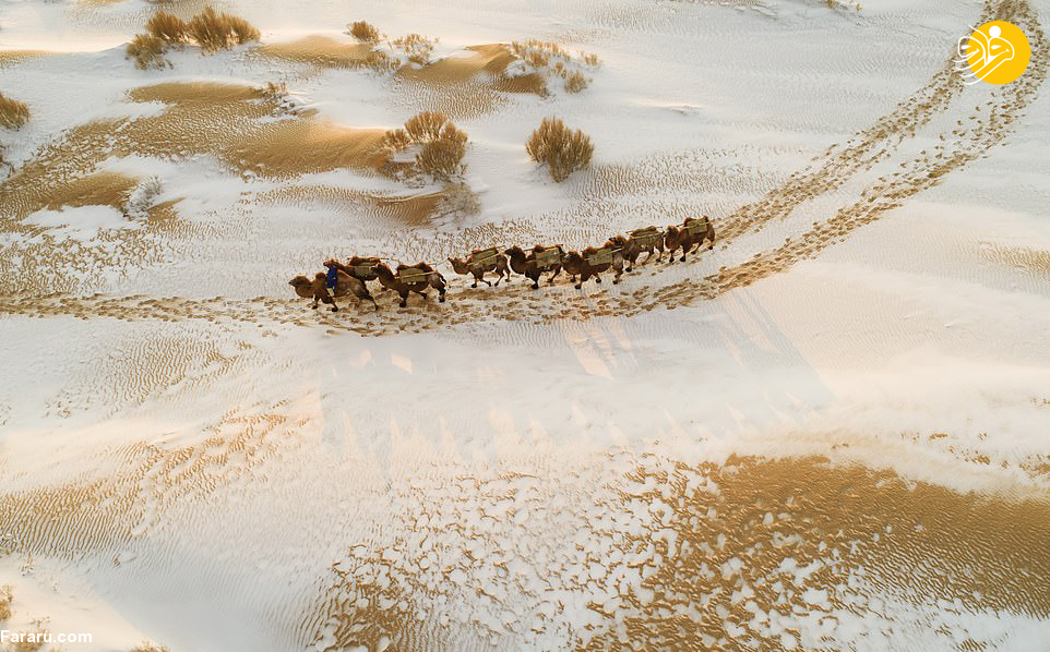 (تصاویر)