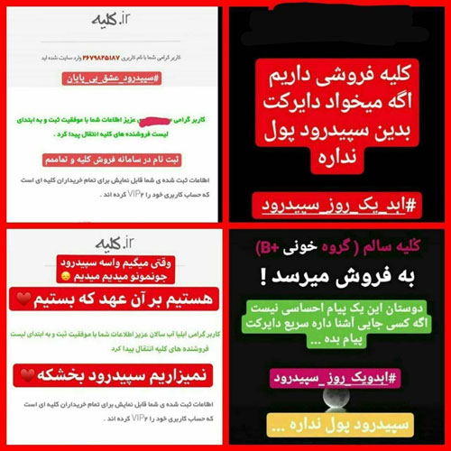 (عکس) کلیه‌فروشی برای نجات تیم محبوب!