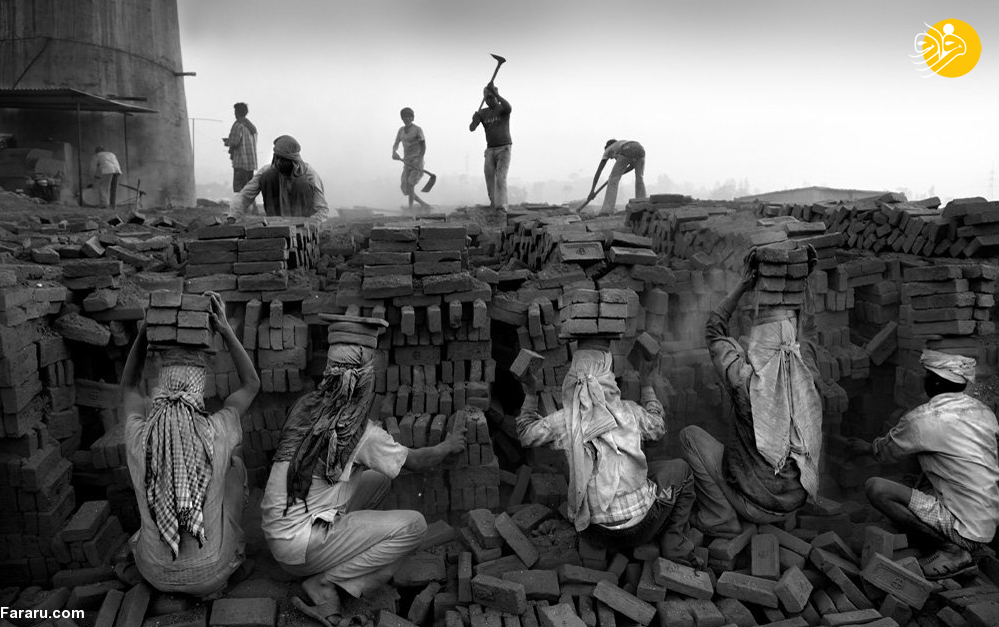 (تصاویر)
