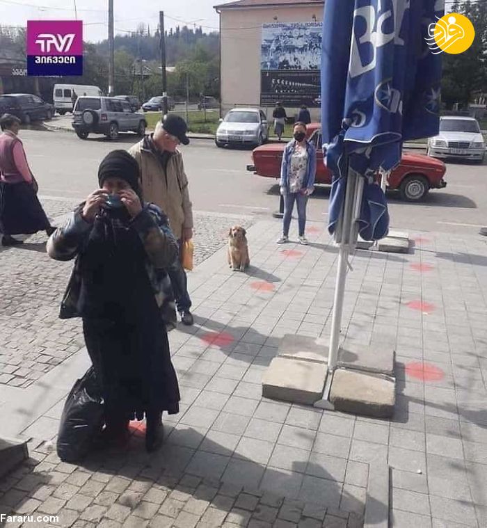 (تصاویر)