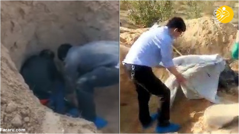 (ویدئو) (ویدئو)