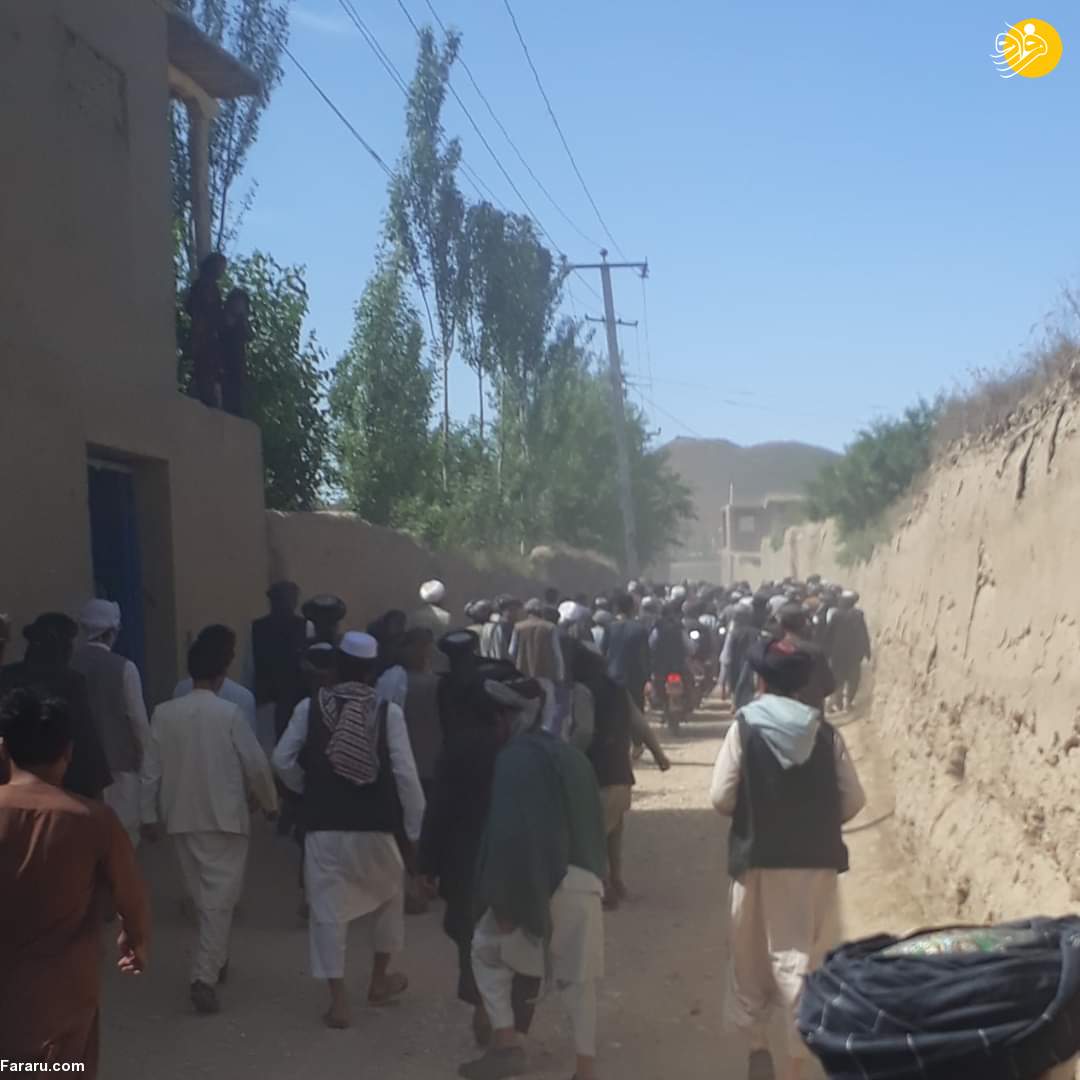 (تصاویر)