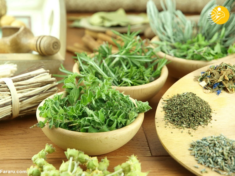 چگونه میتوان قوای جنسی را تقویت کرد؟ چگونه میتوان قوای جنسی را تقویت کرد؟