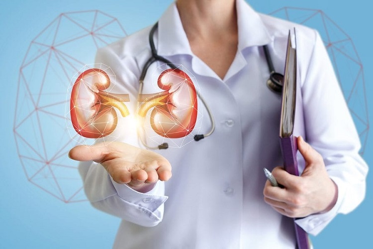 راه های تشخیص سنگ کلیه سنگ کلیه؛ علل، نشانهها و راههای درمان و پیشگیری از آن