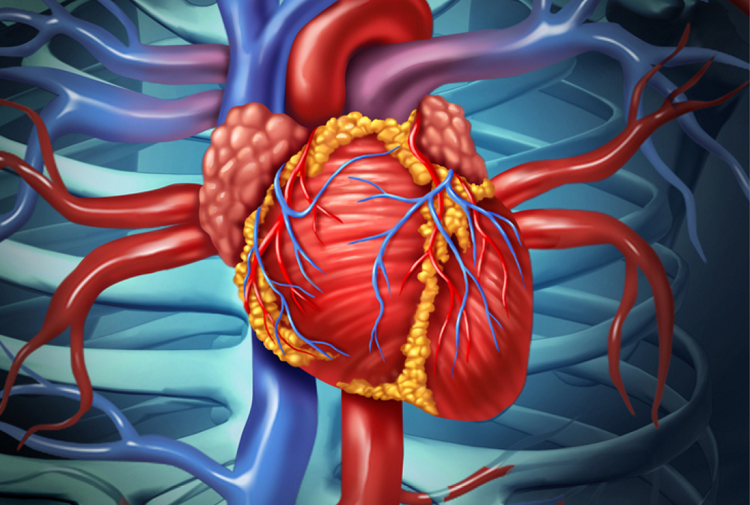 عمل جراحی قلب باز؛ روش ها، عوارض و مراقبت‌های پس از آن