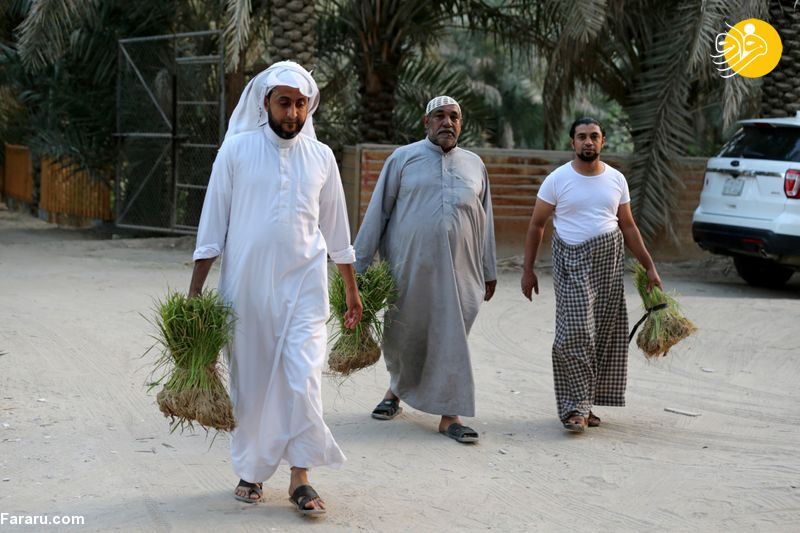 (تصاویر)