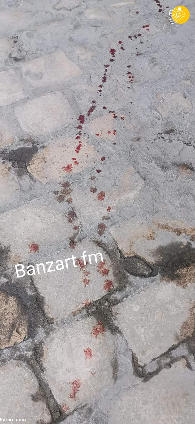 (عکس)