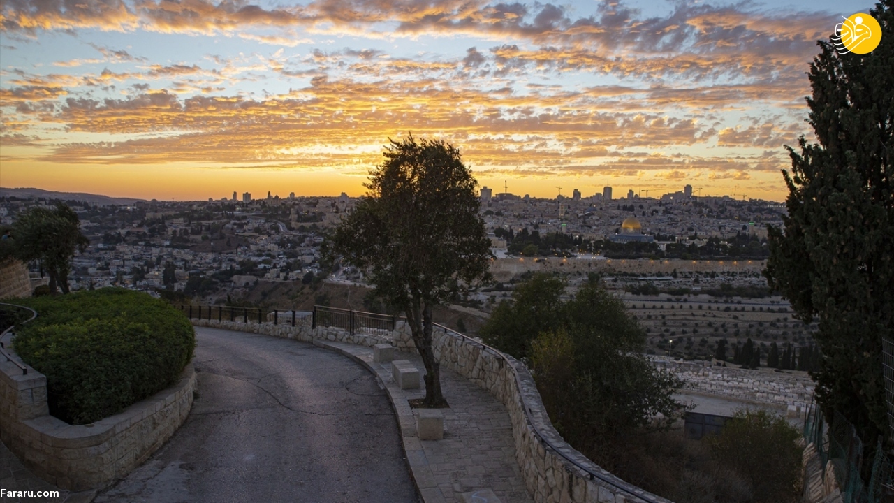 (تصاویر)