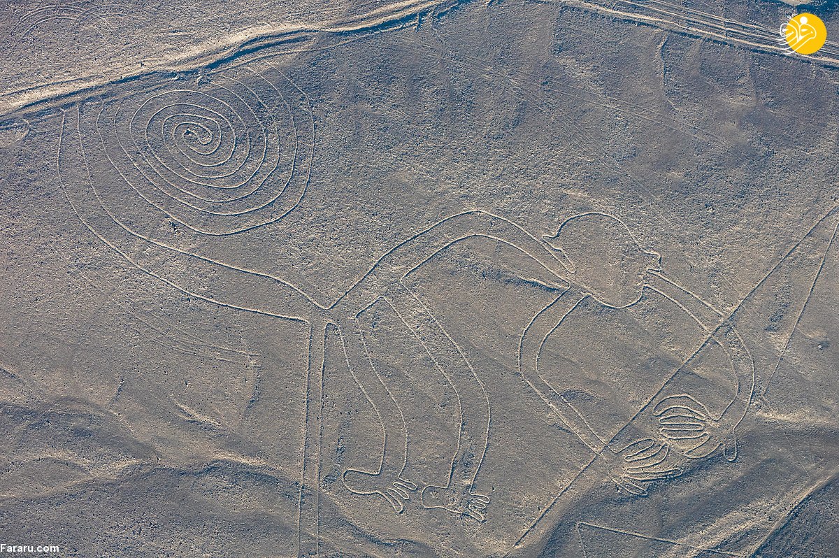 (تصاویر)