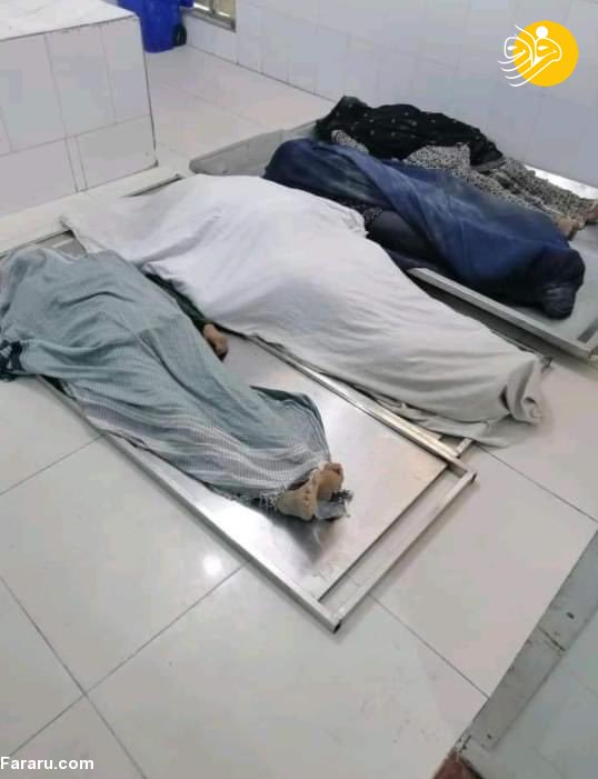 (تصاویر)