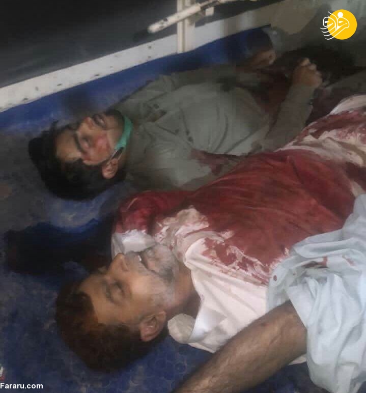 (تصاویر)