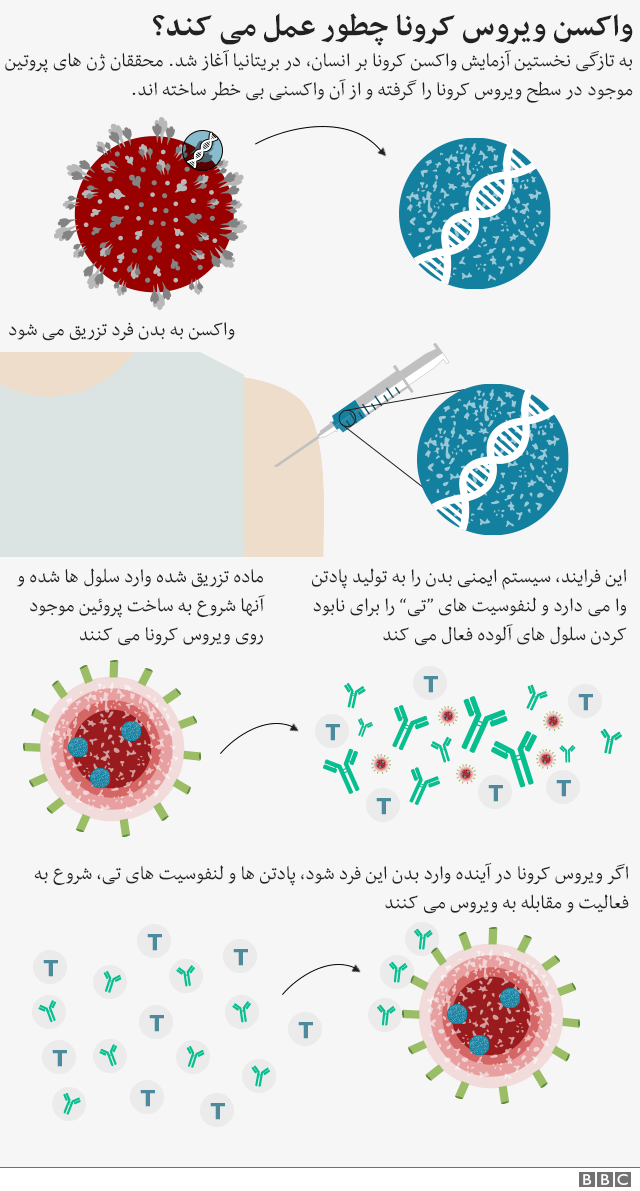 آیا بیش از یک واکسن کرونا در راه است؟
