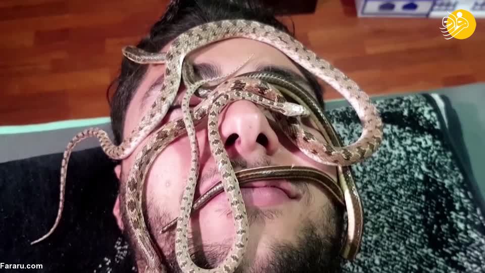 (ویدئو)