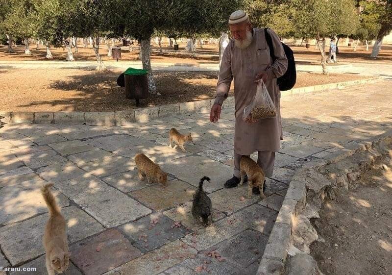 (ویدئو)