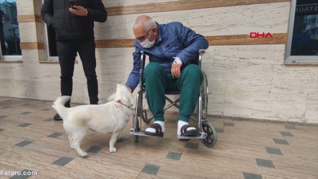 (ویدئو)
