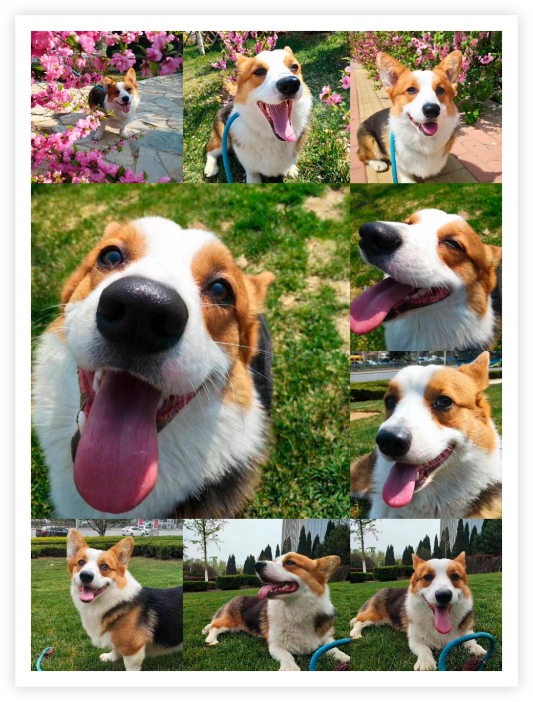 (تصاویر) نگاهی به دوربین چهارگانه میان‌رده‌ی تازه نفس هوآوی Y۷a