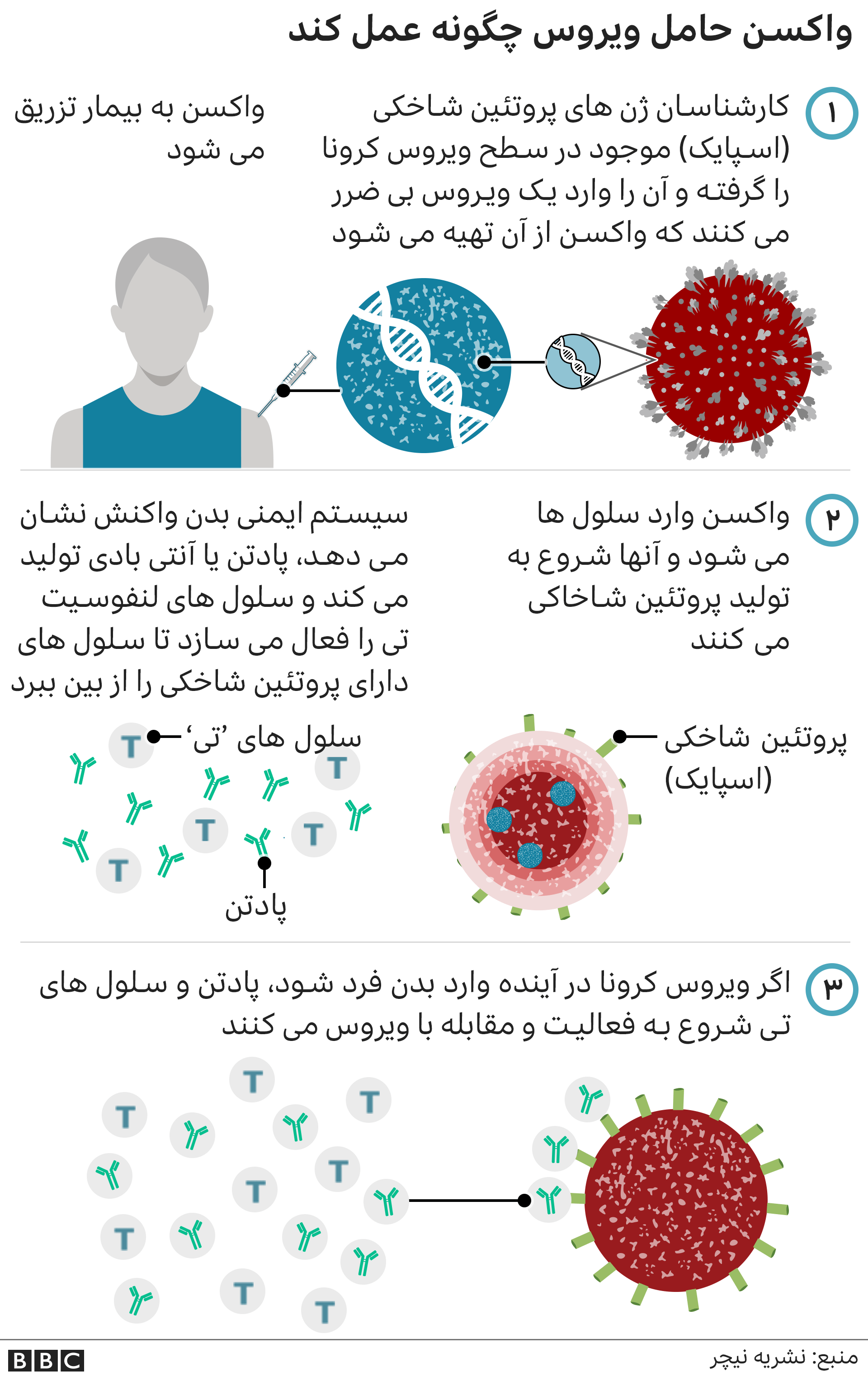کارایی ۹۱.۶ درصدی واکسن کرونای «اسپوتنیک» روسیه