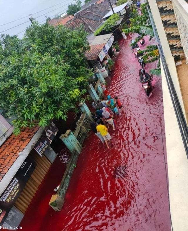 (ویدئو)