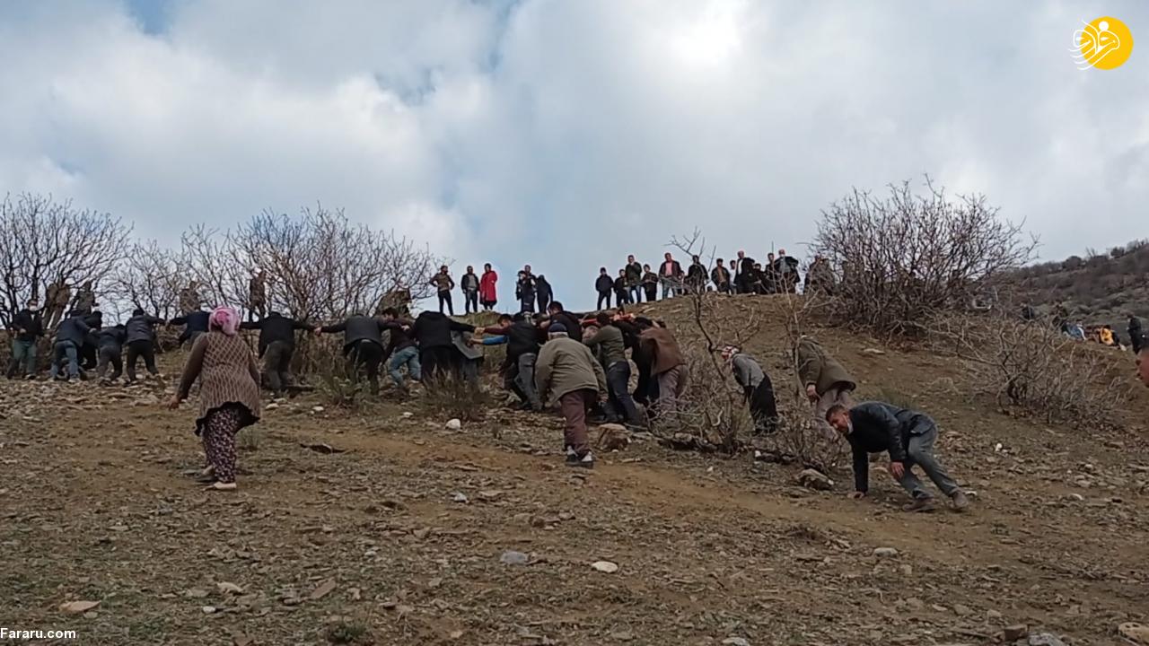 (تصاویر)