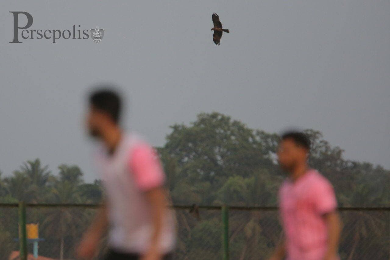(عکس) عقاب در تمرین هندی پرسپولیس