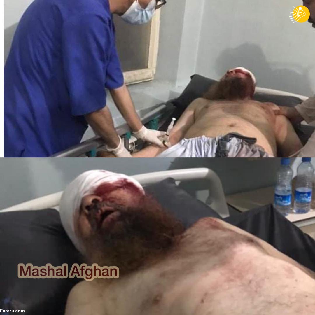 (تصاویر)