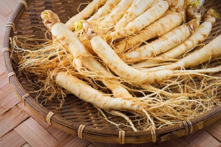 داروهای گیاهی افزایش میل جنسی آقایان و خانم ها