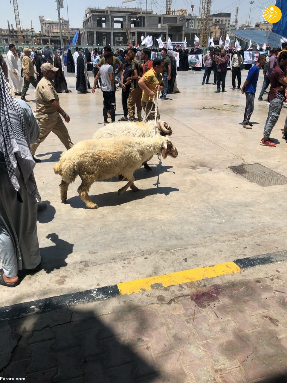 (عکس) فرمانده حشد الشعبی آزاد شد