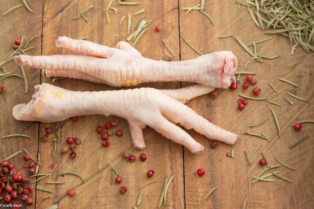 پای مرغ