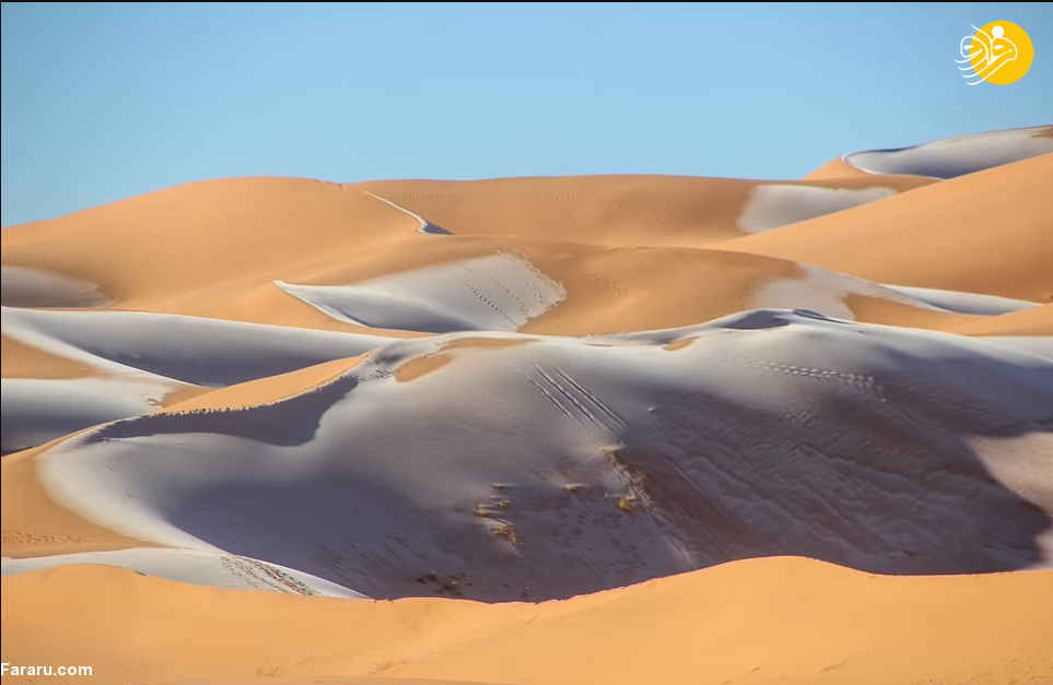 (تصاویر)
