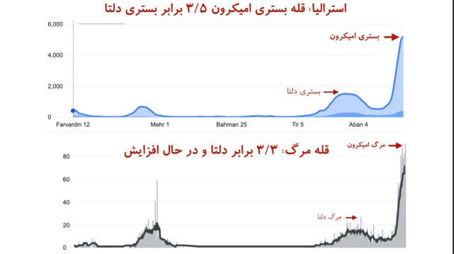 «قله مرگ» در کرونای اومیکرون بالاتر از دلتا