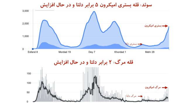 «قله مرگ» در کرونای اومیکرون بالاتر از دلتا