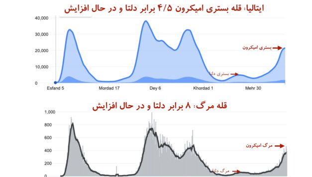 «قله مرگ» در کرونای اومیکرون بالاتر از دلتا