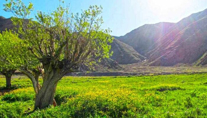مناظر کارت پستالی در همسایگی تهرانی
