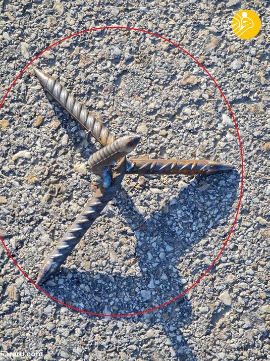 (عکس)