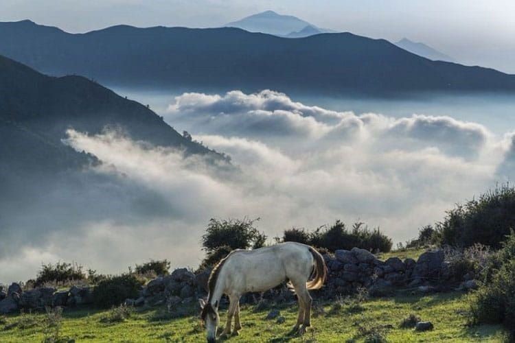 بهترین شهرهای مازندران برای سفر در تابستان کدامند؟