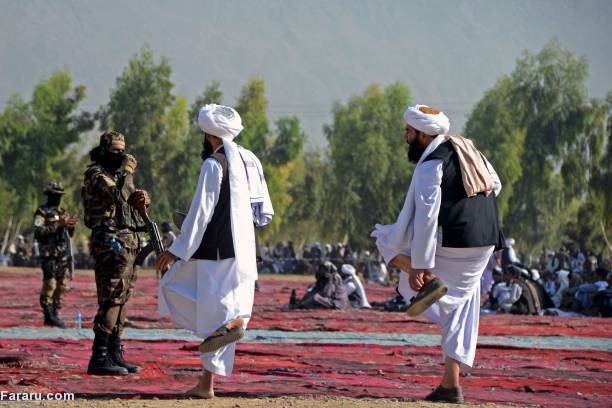 (تصاویر)