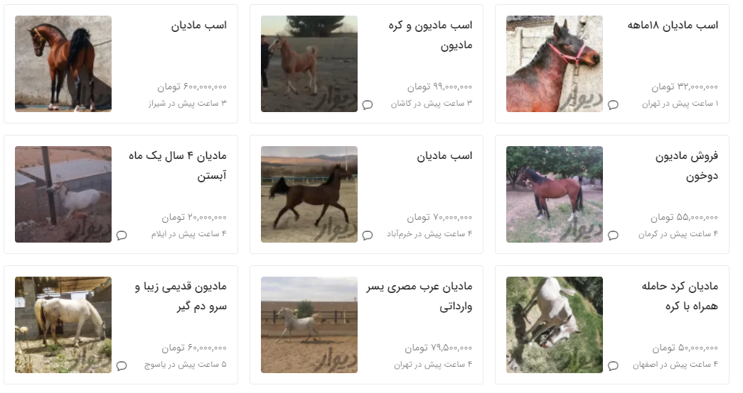 مادیان و کره اسب چند؟