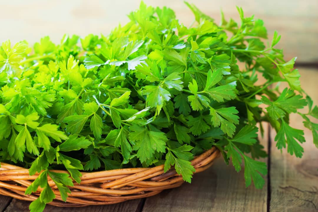 جعفری