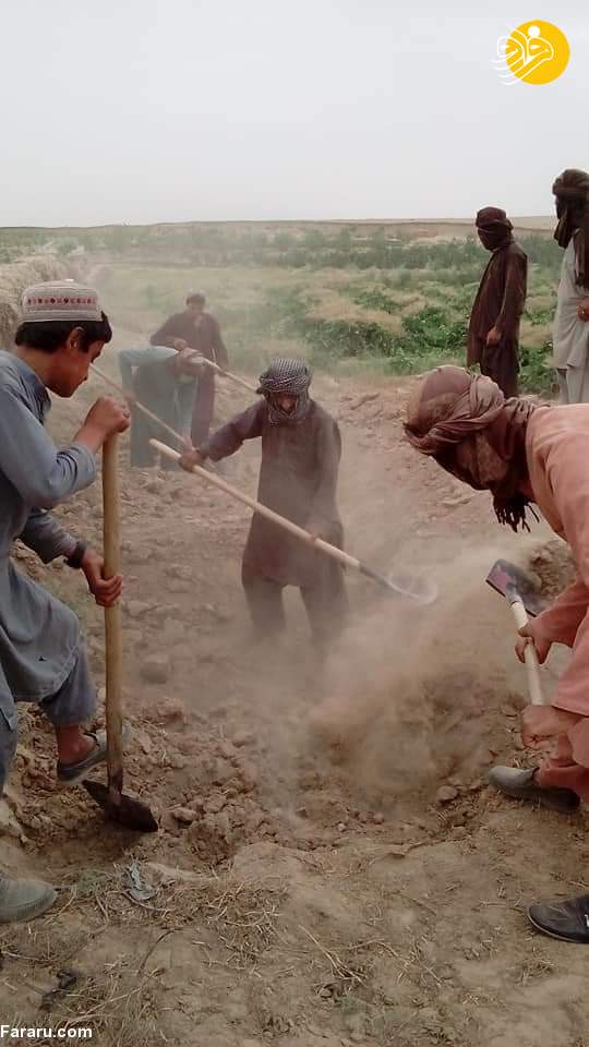 (عکس)