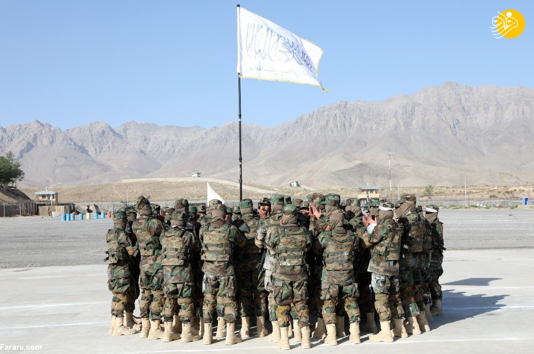 (عکس)