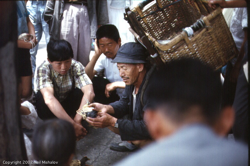 عکس‌های تاریخی از کرۀ جنوبی در دهۀ شصت میلادی