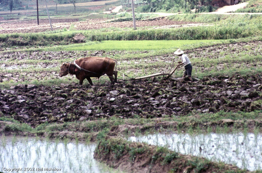 عکس‌های تاریخی از کرۀ جنوبی در دهۀ شصت میلادی