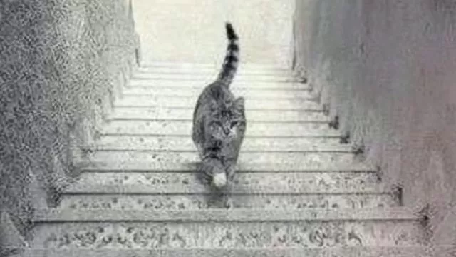 خطای دید