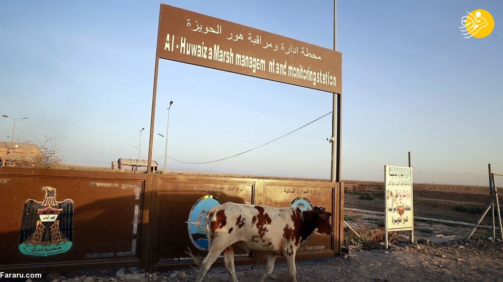 (ویدئو) (ویدئو)